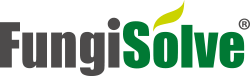 FungiSolve